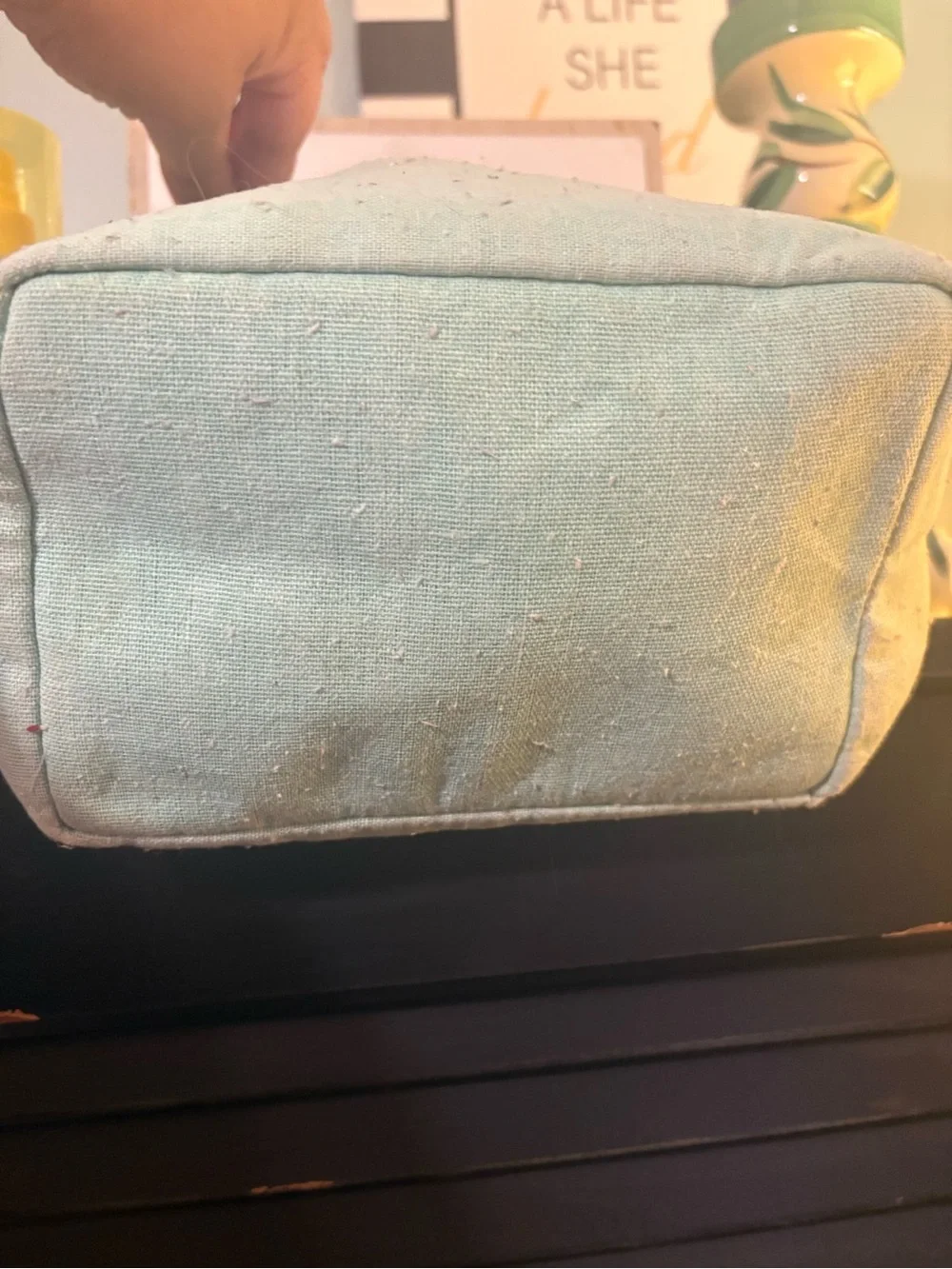 Calm Canvas Storage Bin in Light Mint